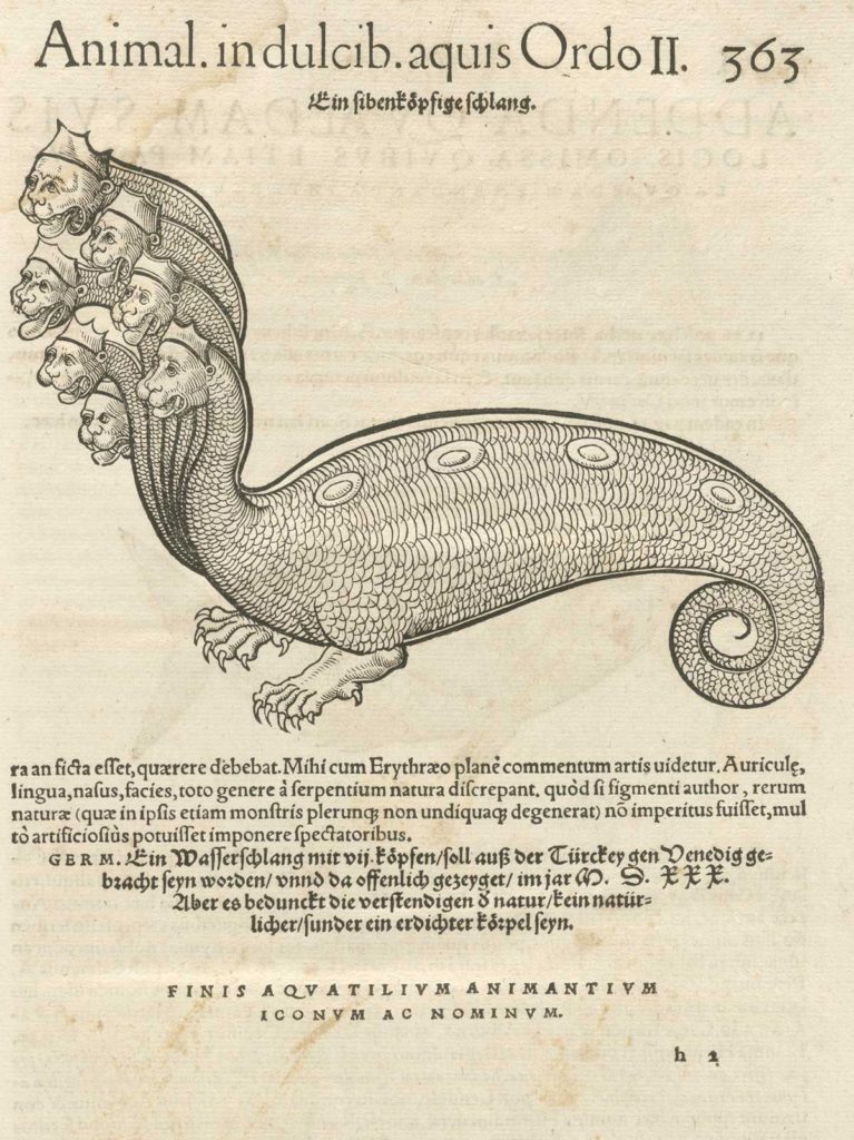 Hydra. Wikimedia Commons. US Public Domain. 